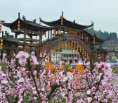 有品大英  盛世桃源