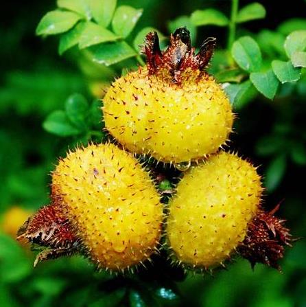 隆盛镇新时代文明实践所