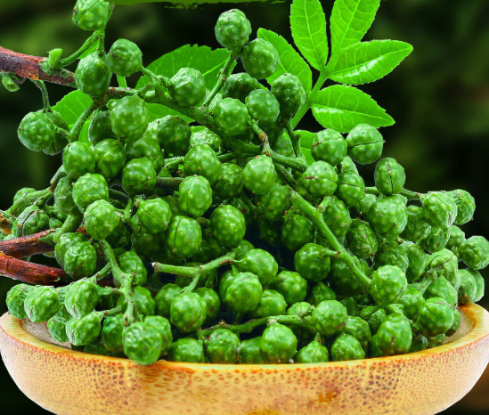 蓬莱镇新时代文明实践所