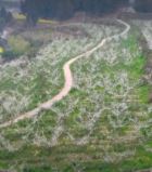 创建全国基层中医药工作示范县