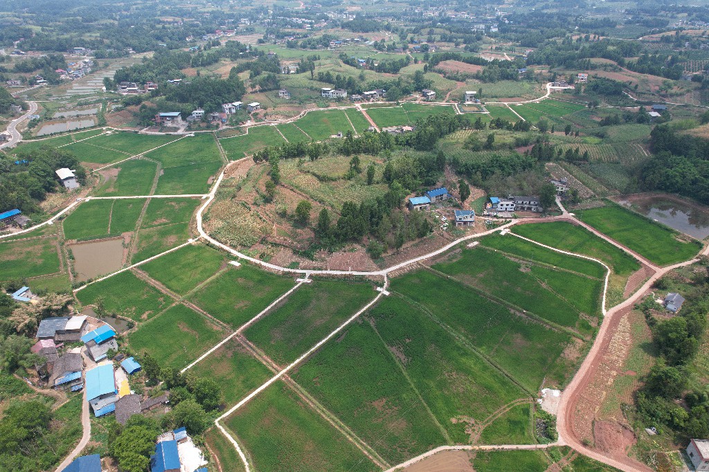 2022-09-05-大英县蓬莱镇-桅杆坝村-粮油产业园-拍摄张昌明