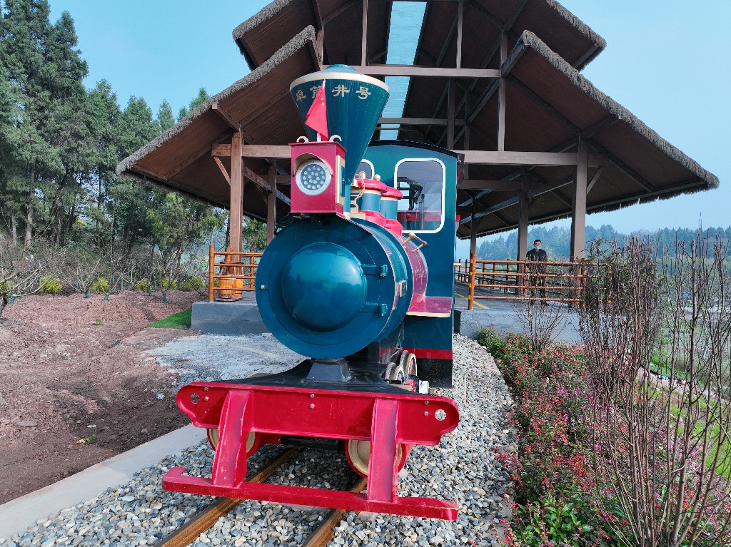 20221125宋井桃源-小火车-拍摄张昌明DJI_0554.jpg