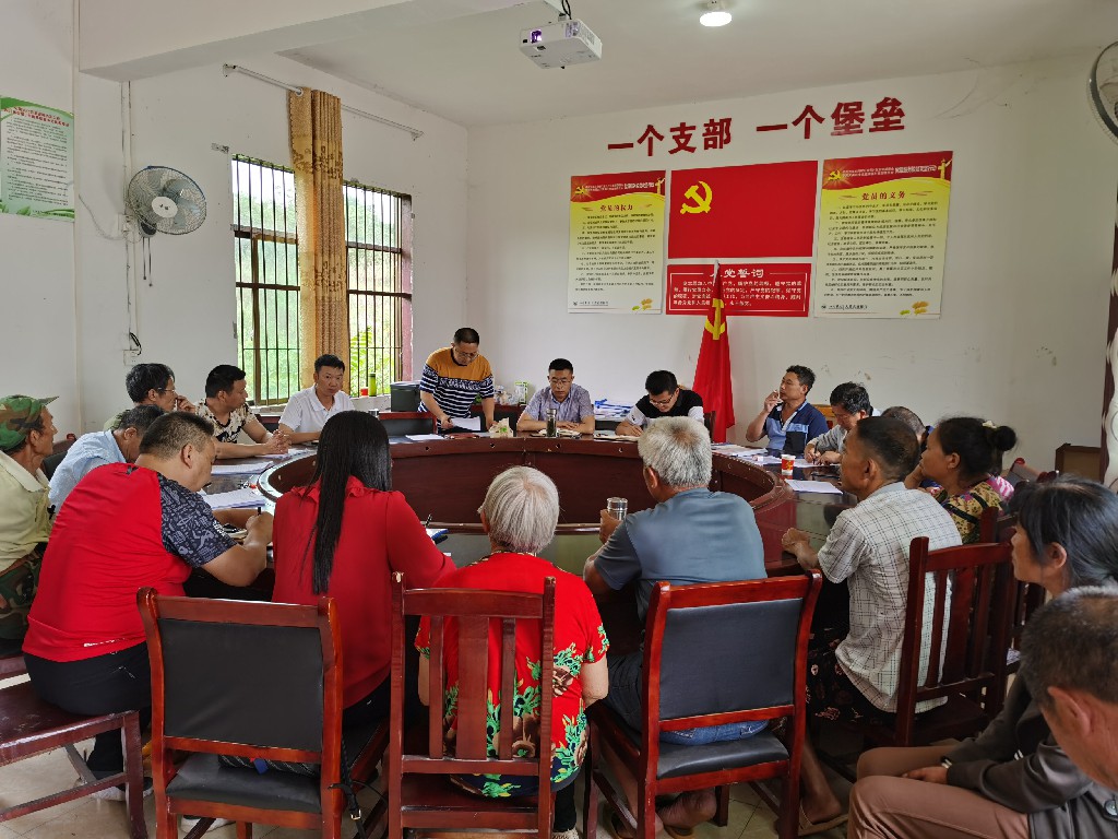 死海度假区党工委副书记杨前2020年4月9日在金元镇端详村开“五个一”帮扶工作会.jpg