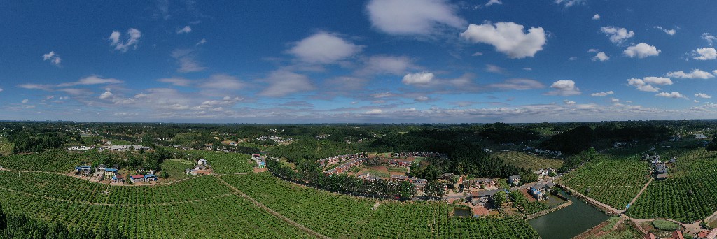 4张昌明 蓬莱镇吊脚楼村-万亩甜橙基地-新村DJI_0761.jpg