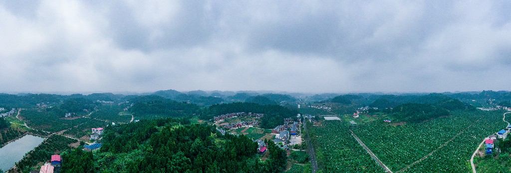 2020-09-11蓬莱镇吊角楼村--万亩甜橙基地-拍摄张昌明-DJI_0528.jpg