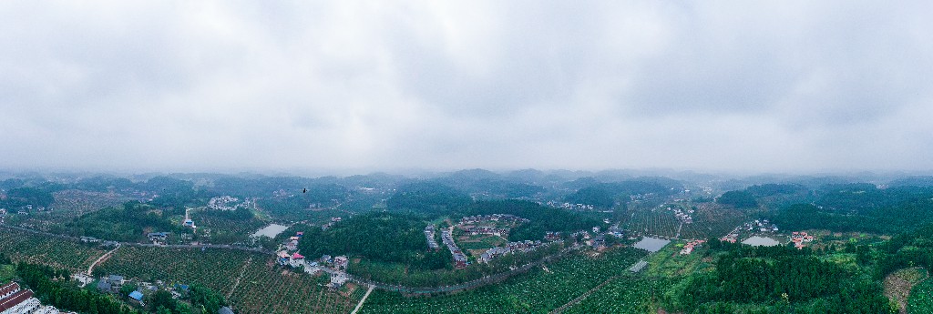2020-09-11蓬莱镇吊角楼村--万亩甜橙基地-拍摄张昌明-DJI_0531.jpg