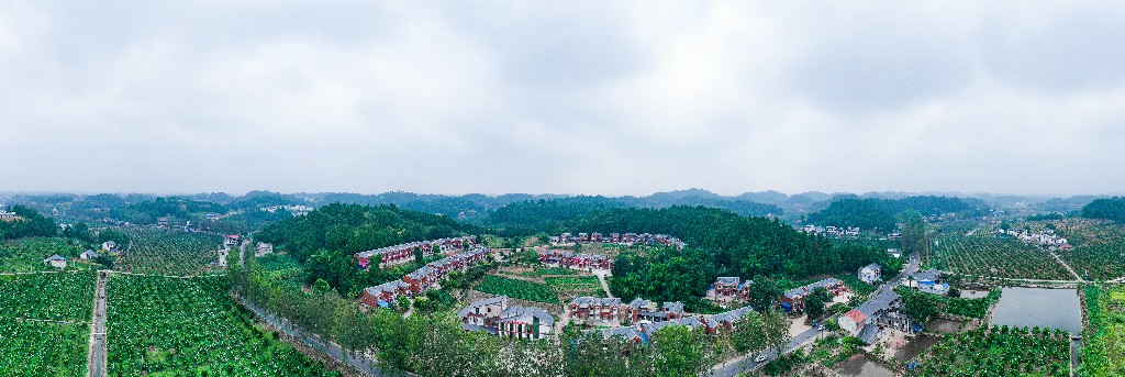 2020-09-11蓬莱镇吊角楼村--万亩甜橙基地-拍摄张昌明-DJI_0548.jpg