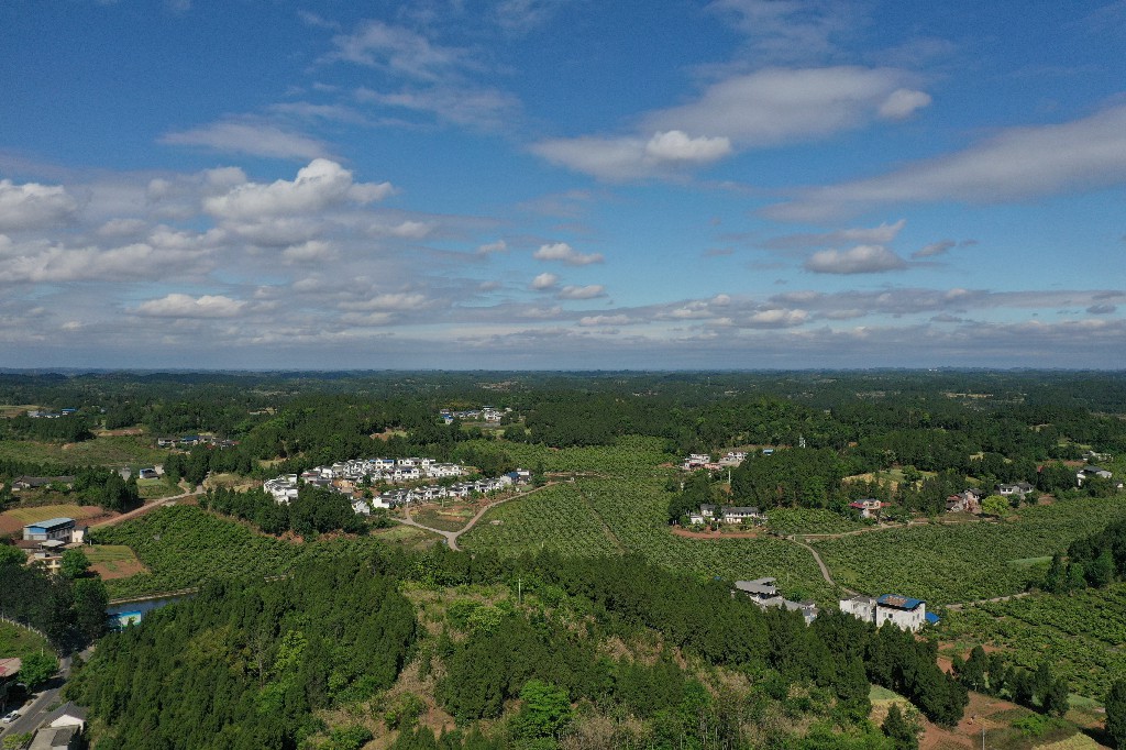 2021年4月24日 拍摄张昌明 蓬莱镇吊脚楼村-美丽新村DJI_0764.jpg