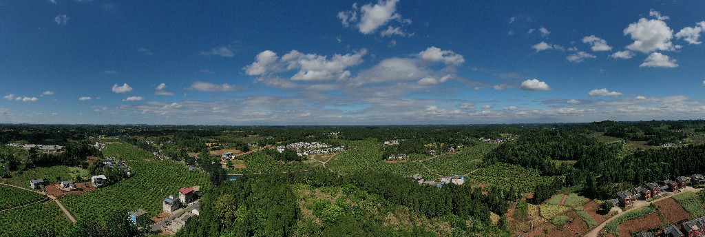 2021年4月24日 拍摄张昌明 蓬莱镇吊脚楼村-万亩甜橙基地DJI_0755.jpg