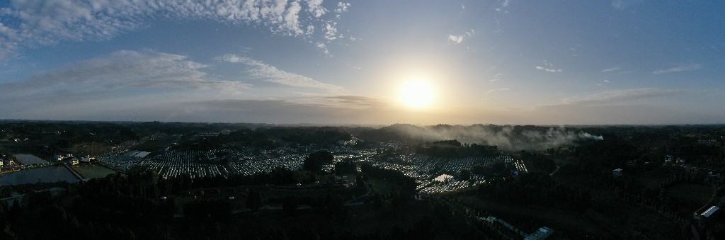 20211129蓬莱镇吊角楼村--万亩甜橙基地-拍摄张昌明-DJI_0897.jpg