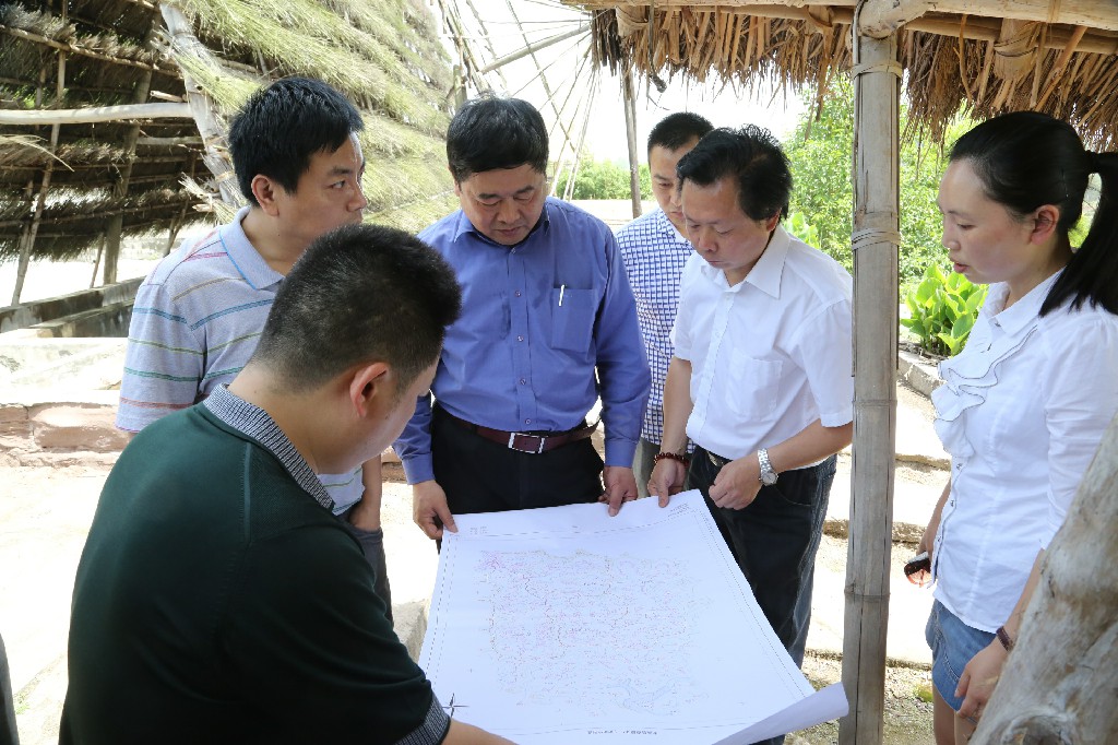 016故宫博物院单霁翔院长考察调研卓筒井 (4).jpg