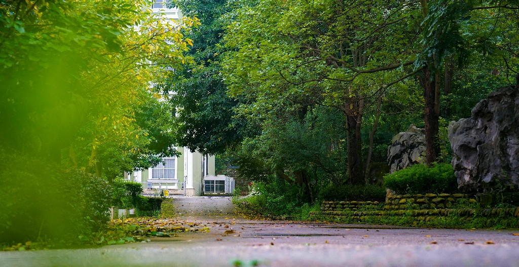 东方生态园-大英县摄影家协会 张昌明-13882536454-DSC04184.jpg