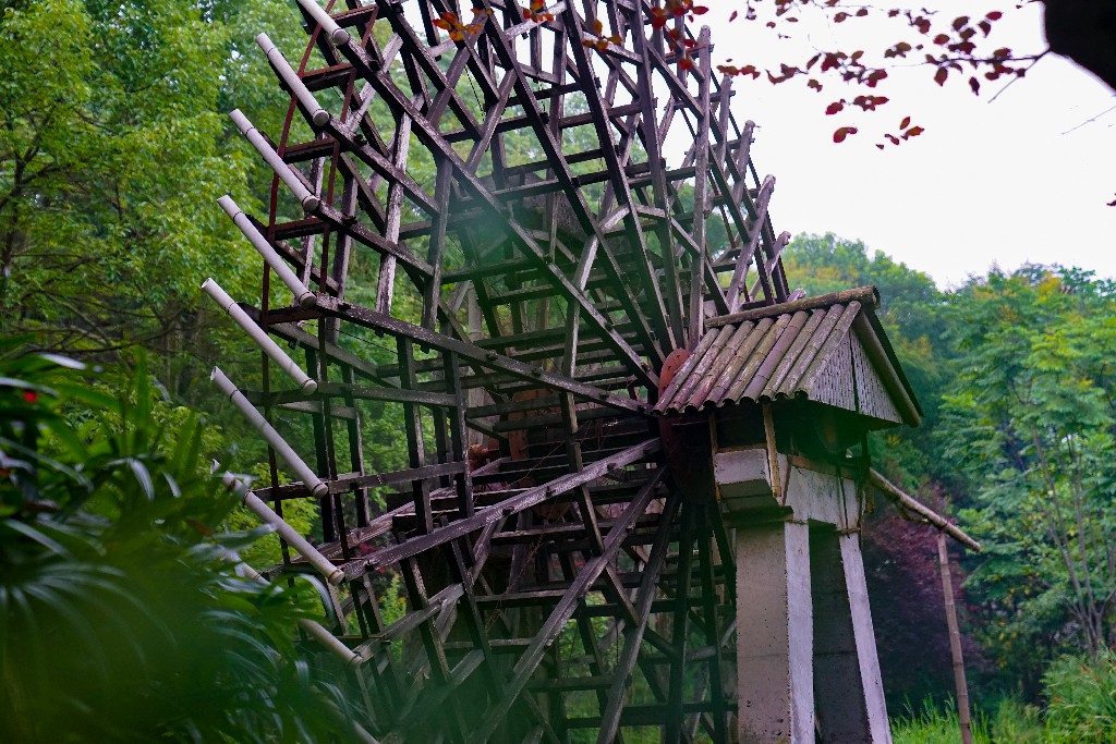 东方生态园-大英县摄影家协会 张昌明-13882536454-DSC04171.jpg