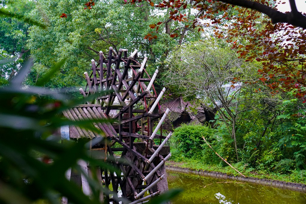 东方生态园-大英县摄影家协会 张昌明-13882536454-DSC04153web.jpg