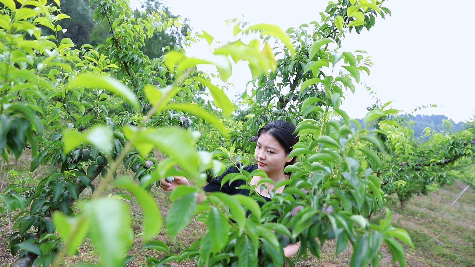 6月9日 (6)-封面.jpg